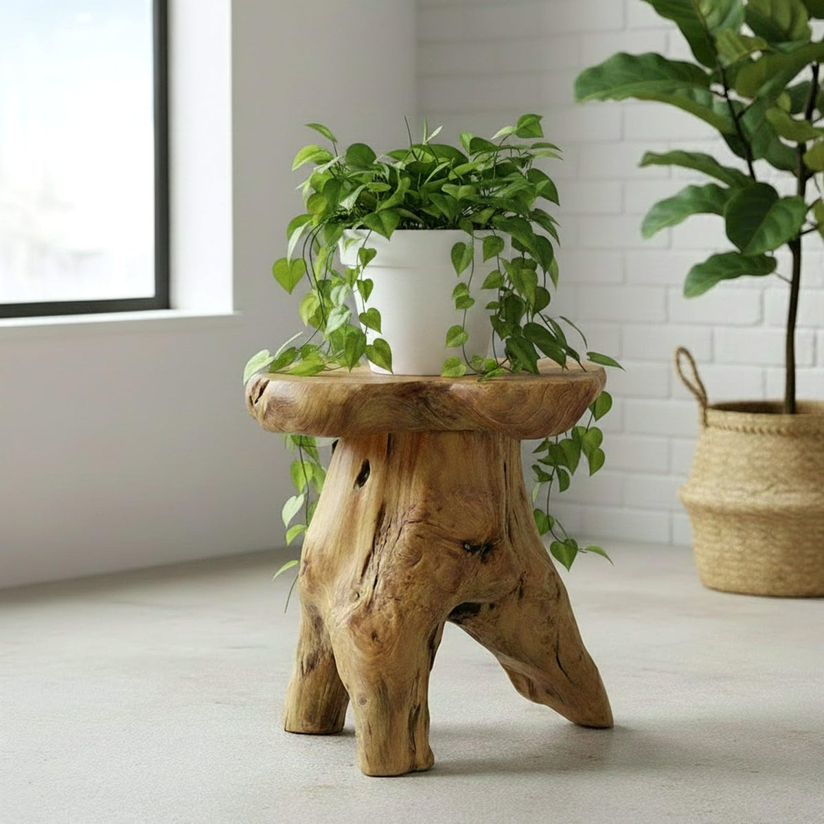 Cedar Stump Side Table