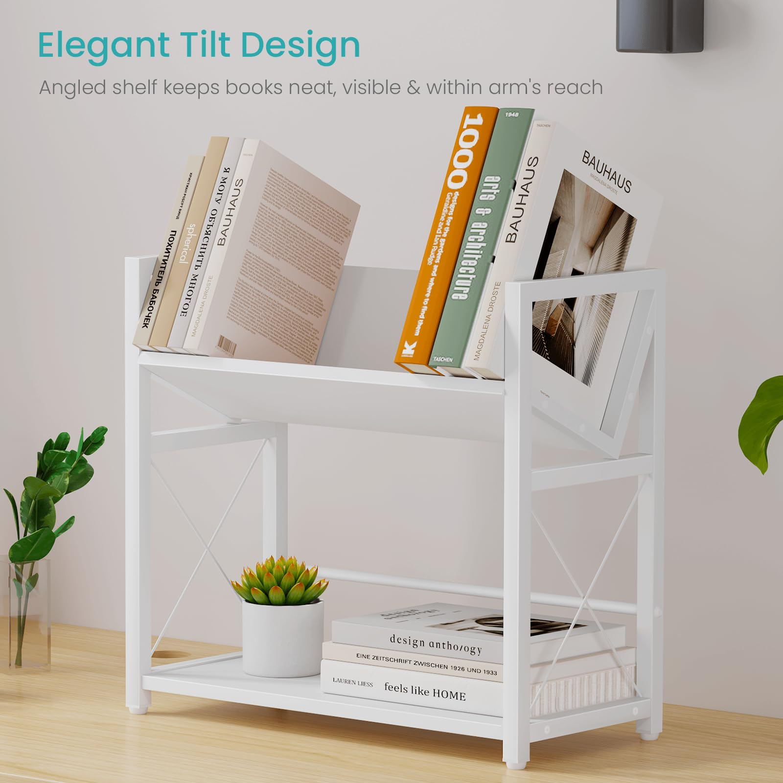 2-Tier Desktop Bookshelf Organizer with Steel X-Frame