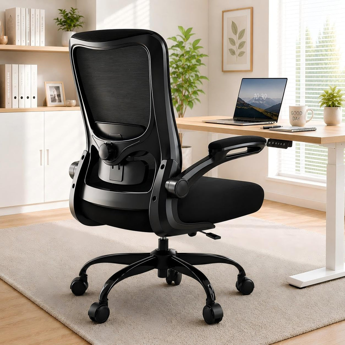 Ergonomic Office Chair for Lower Back Relief, 4-Way Lumbar, 330 LBS