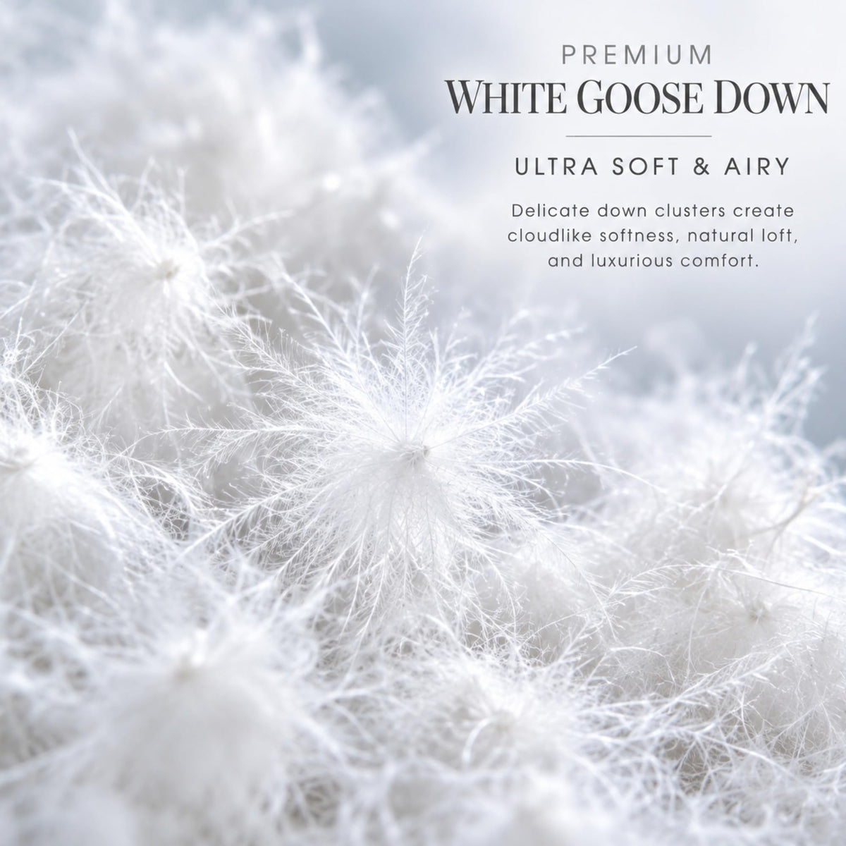 Continental Bedding Premium White Goose Down Throw Pillow Inserts, Ultra Soft & Airy Fill, Choppable Design, 100% Cotton Cover, Luxury Decorative Accents for Sofa, Couch & Bed, 24 x 24