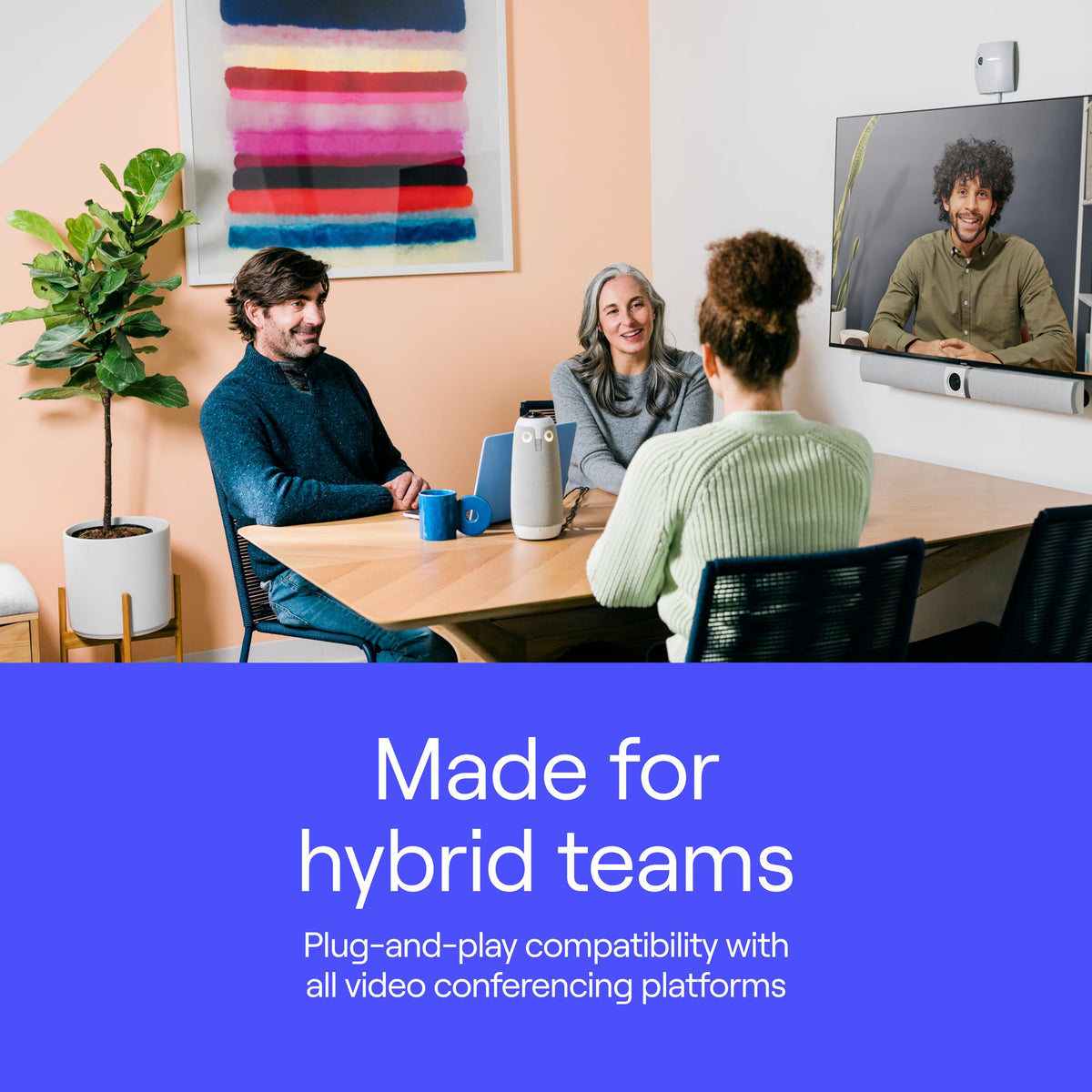 360° Conference Camera