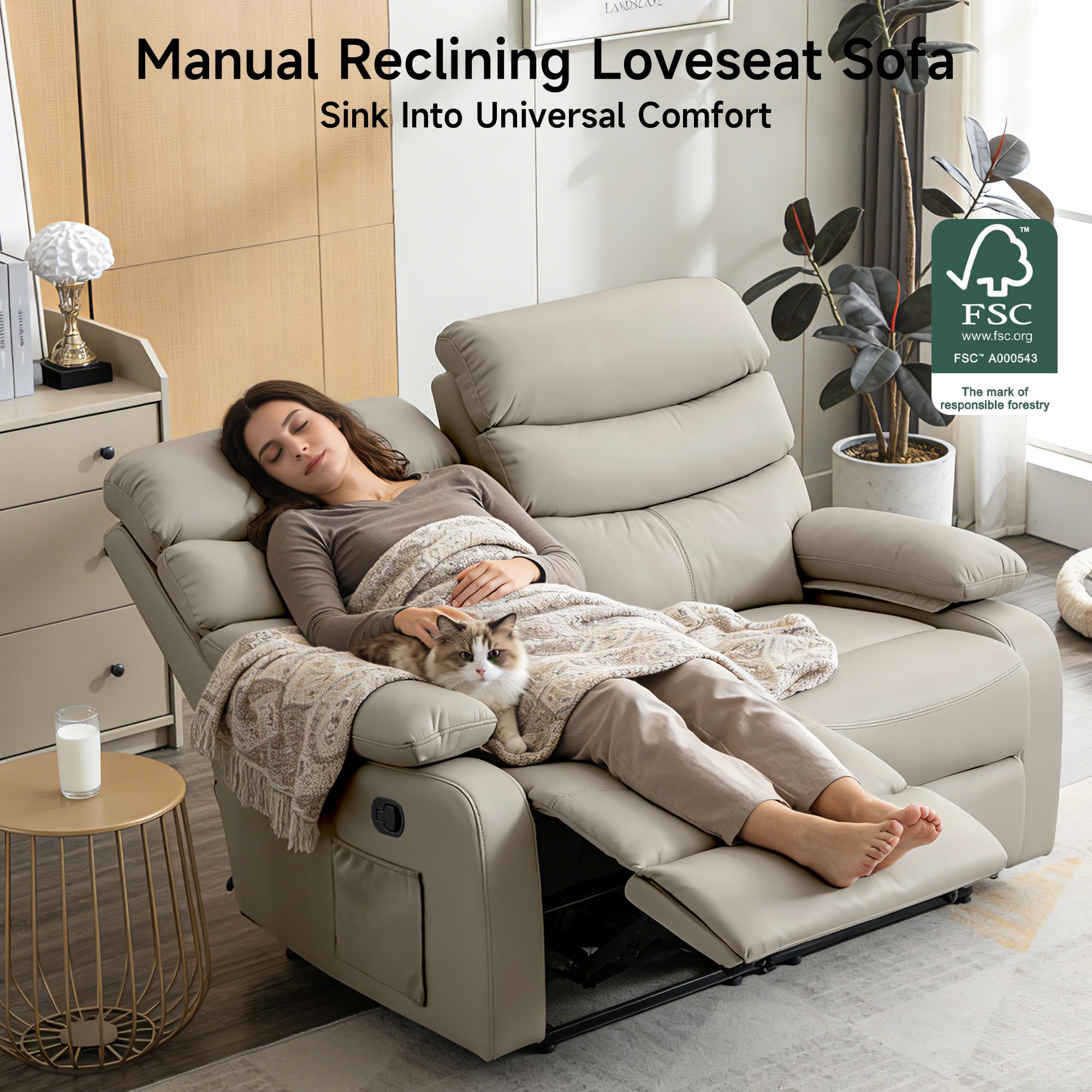 GNMLP2020 Reclining Loveseat Sofa, Anti-Scratch Leather Manual Loveseat Recliner with Side Pocket, Wall Hugger Loveseat Recliner for Living Room, RV, Home Theater(Beige)