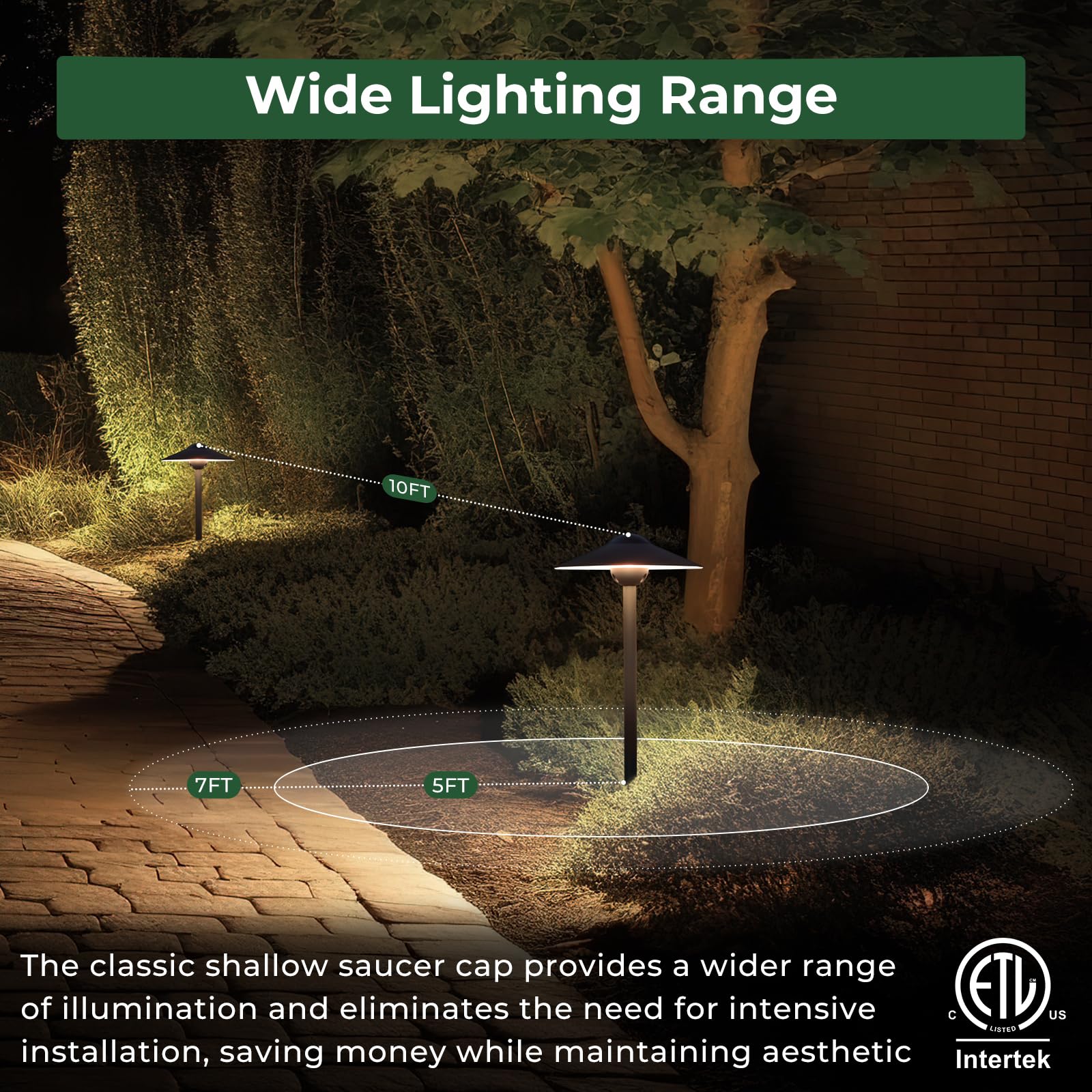 Low Voltage LED Path Lights