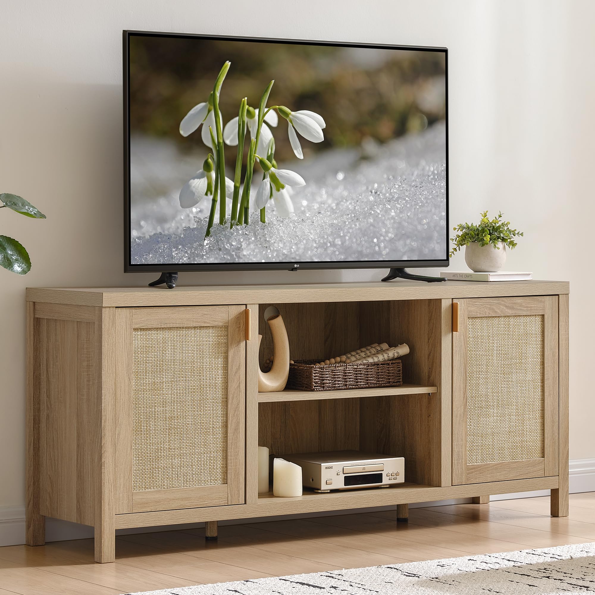 59" Rattan TV Stand with Storage