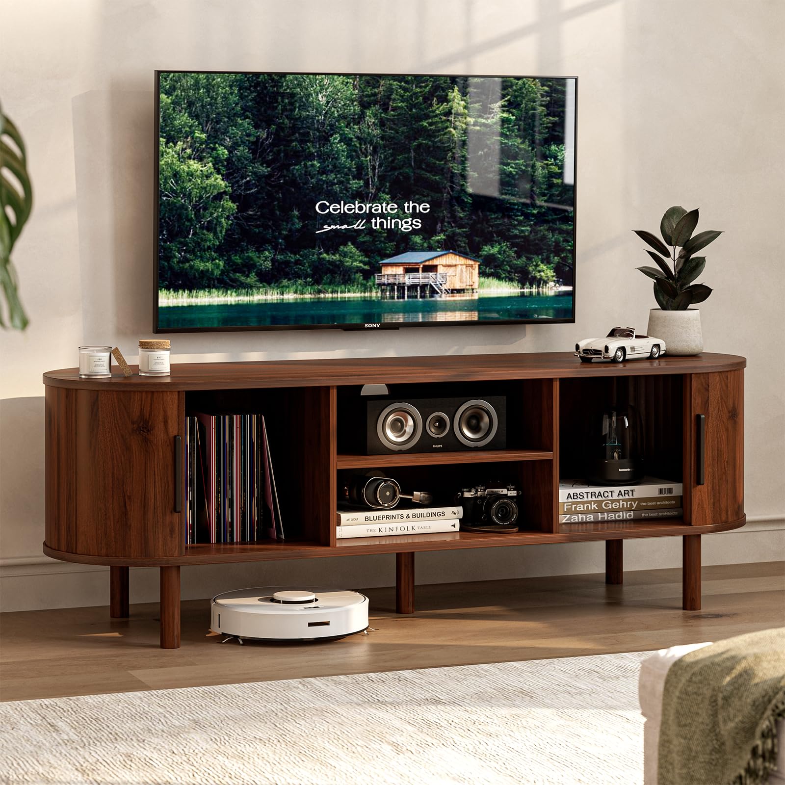 Mid-Century TV Stand with Storage