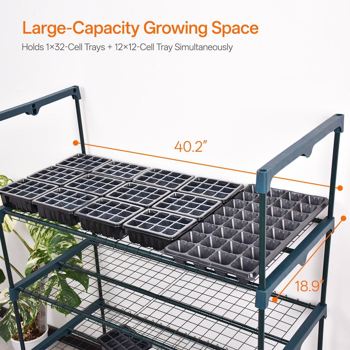Bstrip Indoor Greenhouse with Grow Light, 5-Tier Large Greenhouse Cabinet