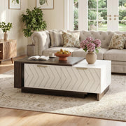 Extendable Coffee Table with Storage