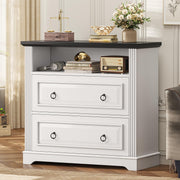 2-Drawer Lateral File Cabinet with Printer Stand