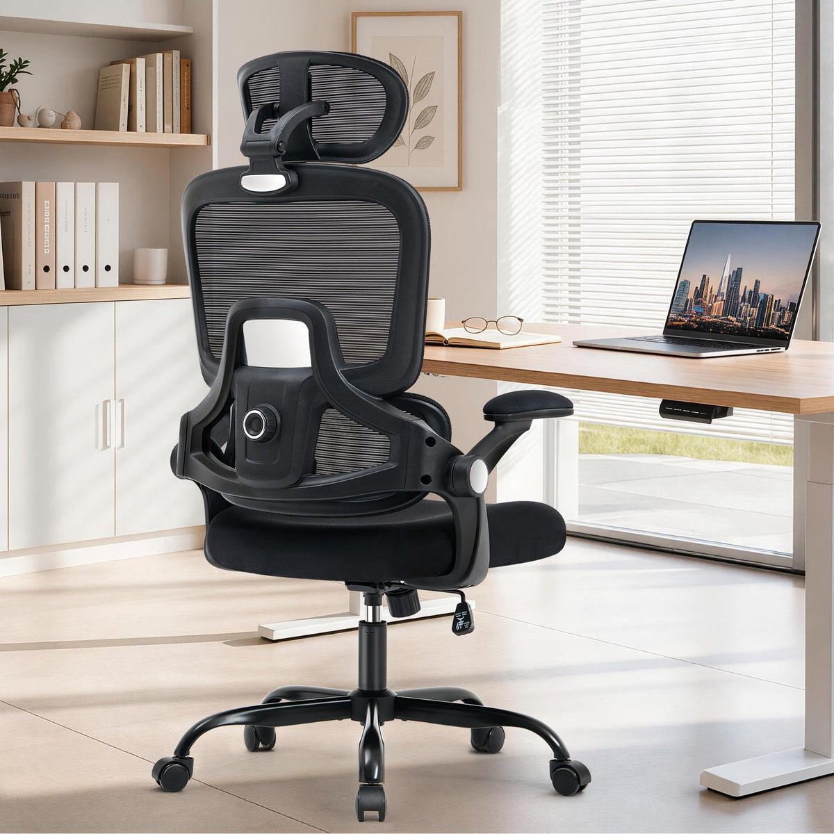 Office Chair with Adjustable Lumbar Support, Ergonomic Desk Chairs, Black