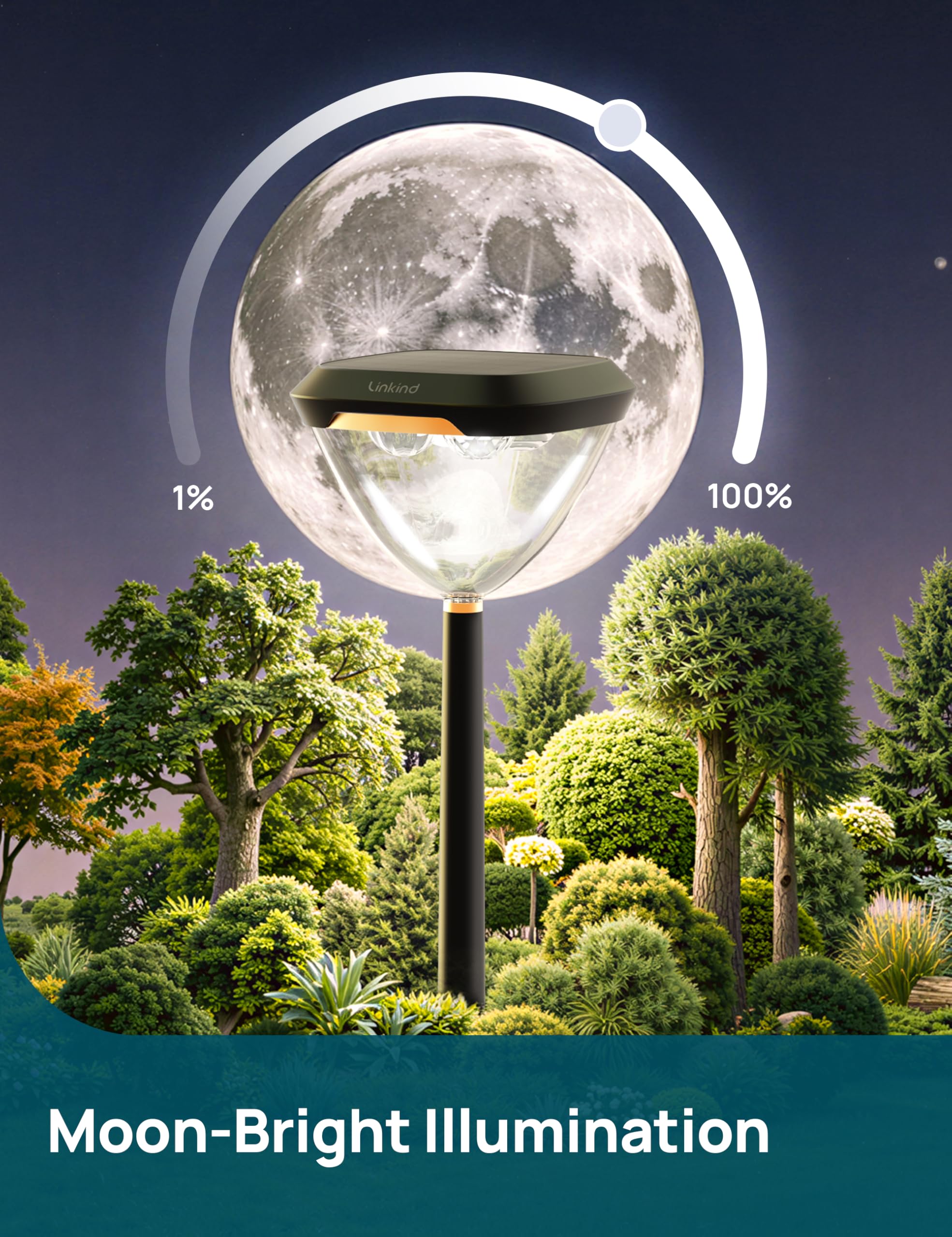 Smart Solar Pathway Lights with App Control