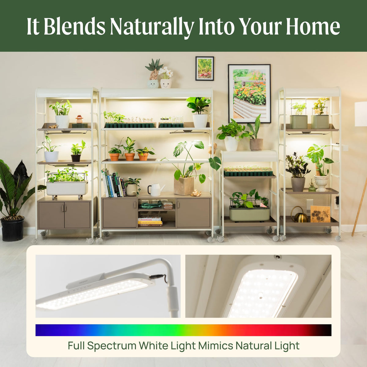Vego garden 4 Tier Rolling Metal Corner Plant Stand Indoor with Grow Light, Display Shelf with Storage & Full Spectrum LED Grow Light, Plant Rack for Seed Starting, Leafy, Herbs, Fruits & Microgreens