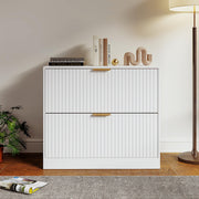 2-Drawer File Cabinet with Storage