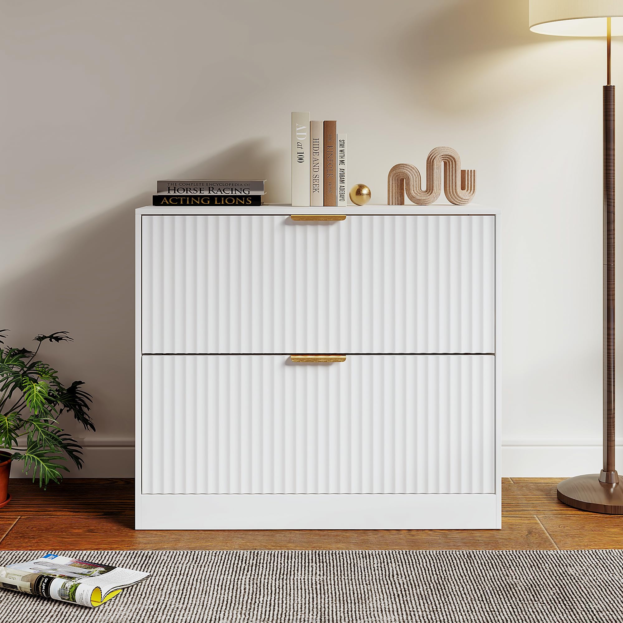 2-Drawer File Cabinet with Storage