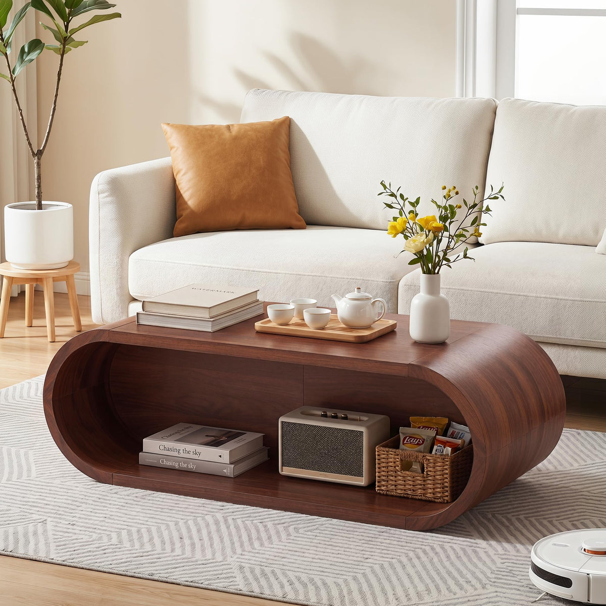 Oval Coffee Table with Storage