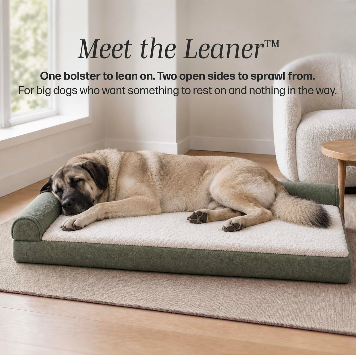 Orthopedic Chaise Dog Bed