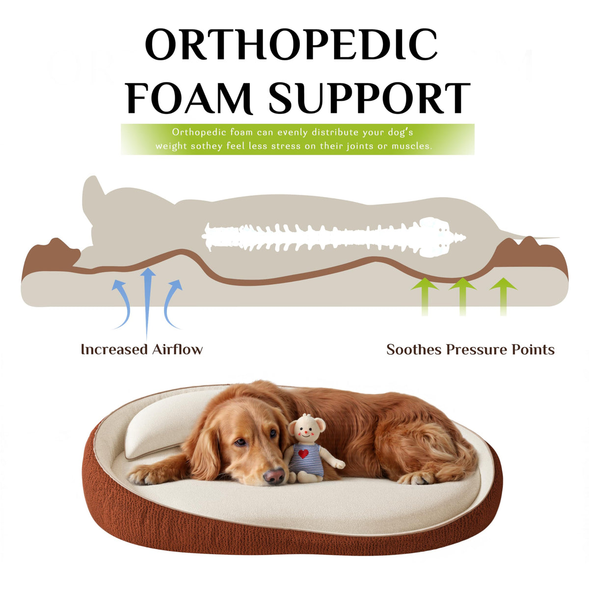 XL Orthopedic Dog Bed