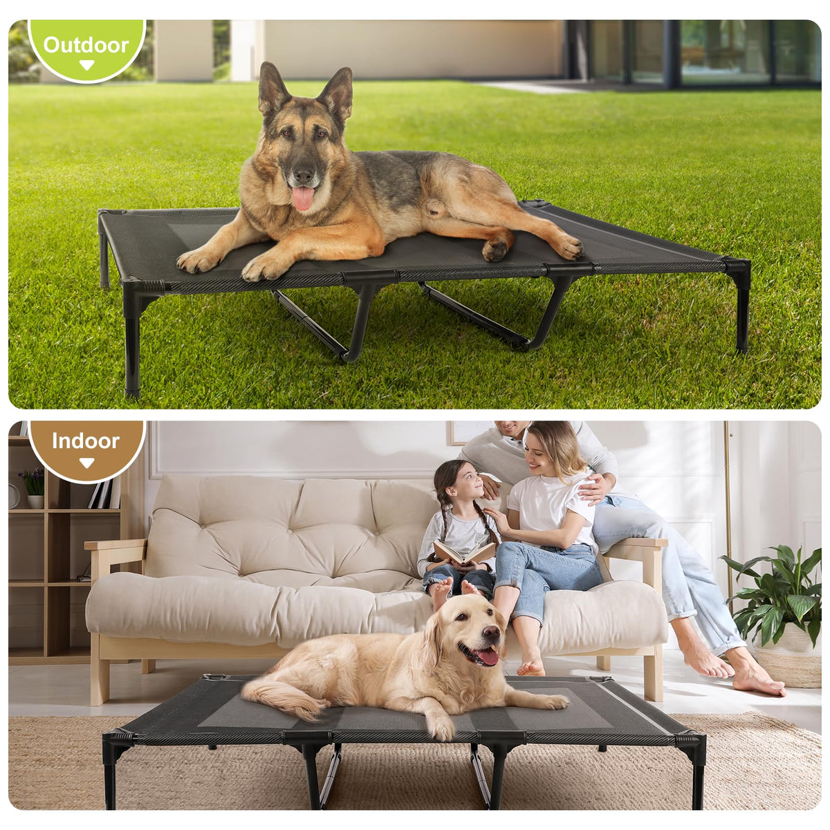 XL Elevated Dog Bed