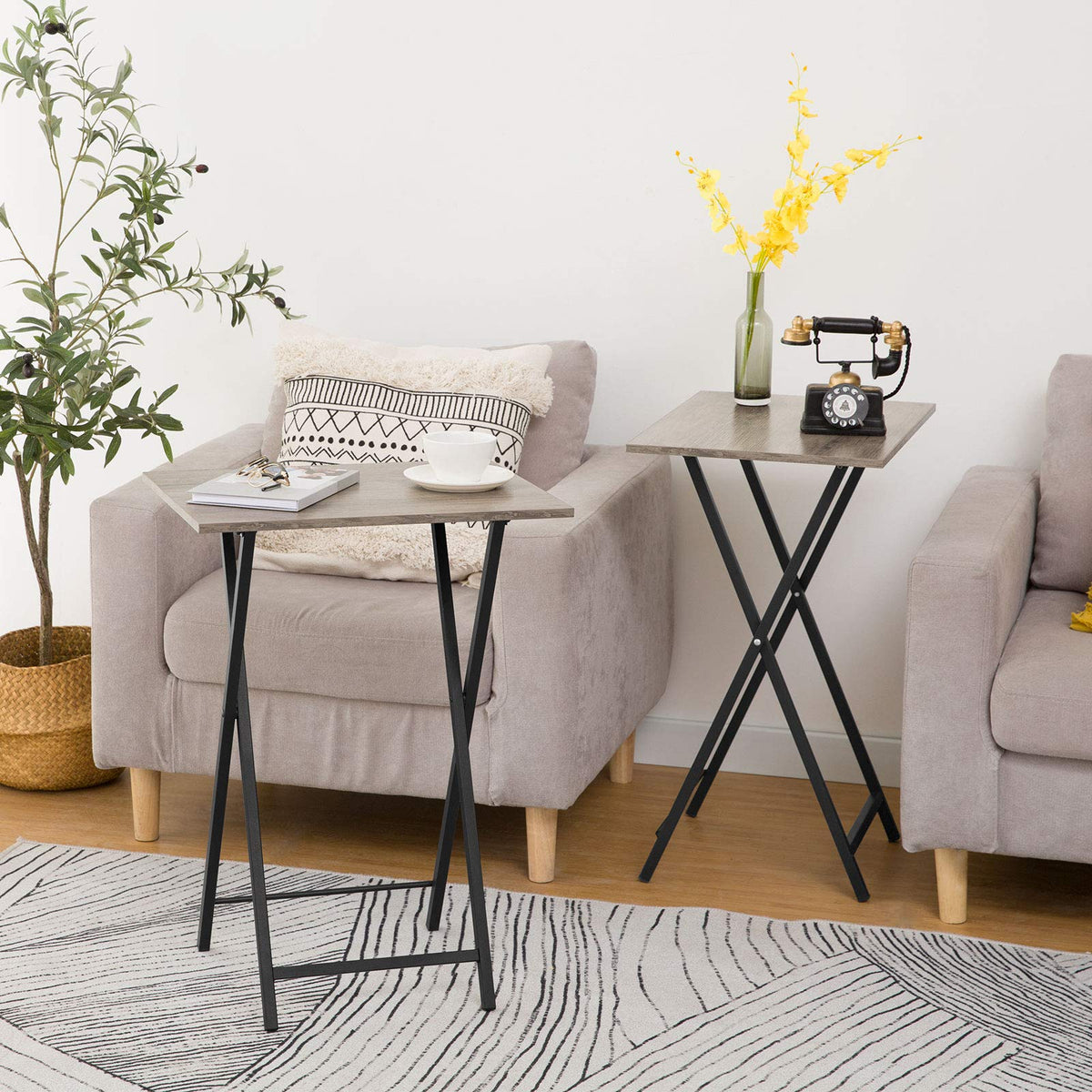 Folding TV Tray Set with Stand