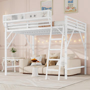 Queen Metal Loft Bed with Storage