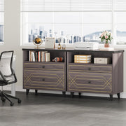 2-Drawer Lateral Filing Cabinet with Open Shelf