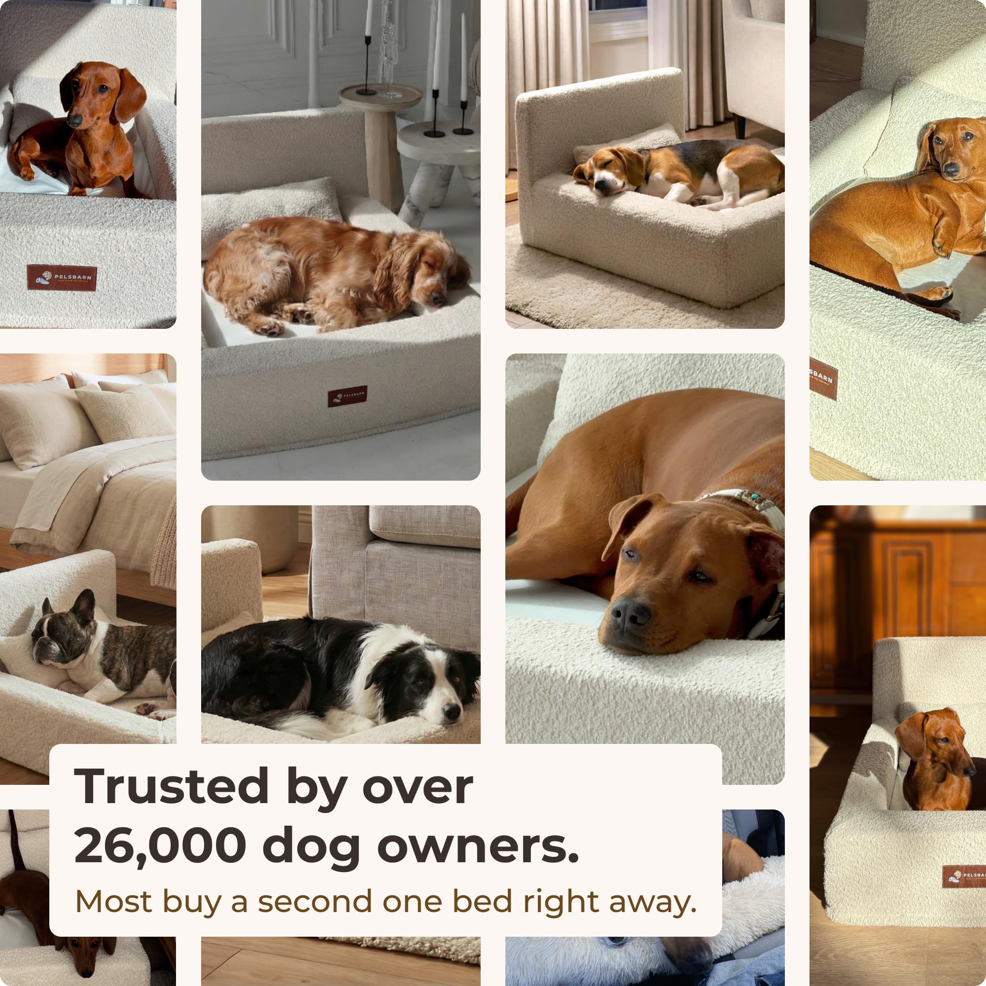 XL Oval Donut Dog Bed – Herringbone, Micro Velvet, Washable Cover