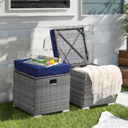 Outdoor Storage Ottoman Set of 2