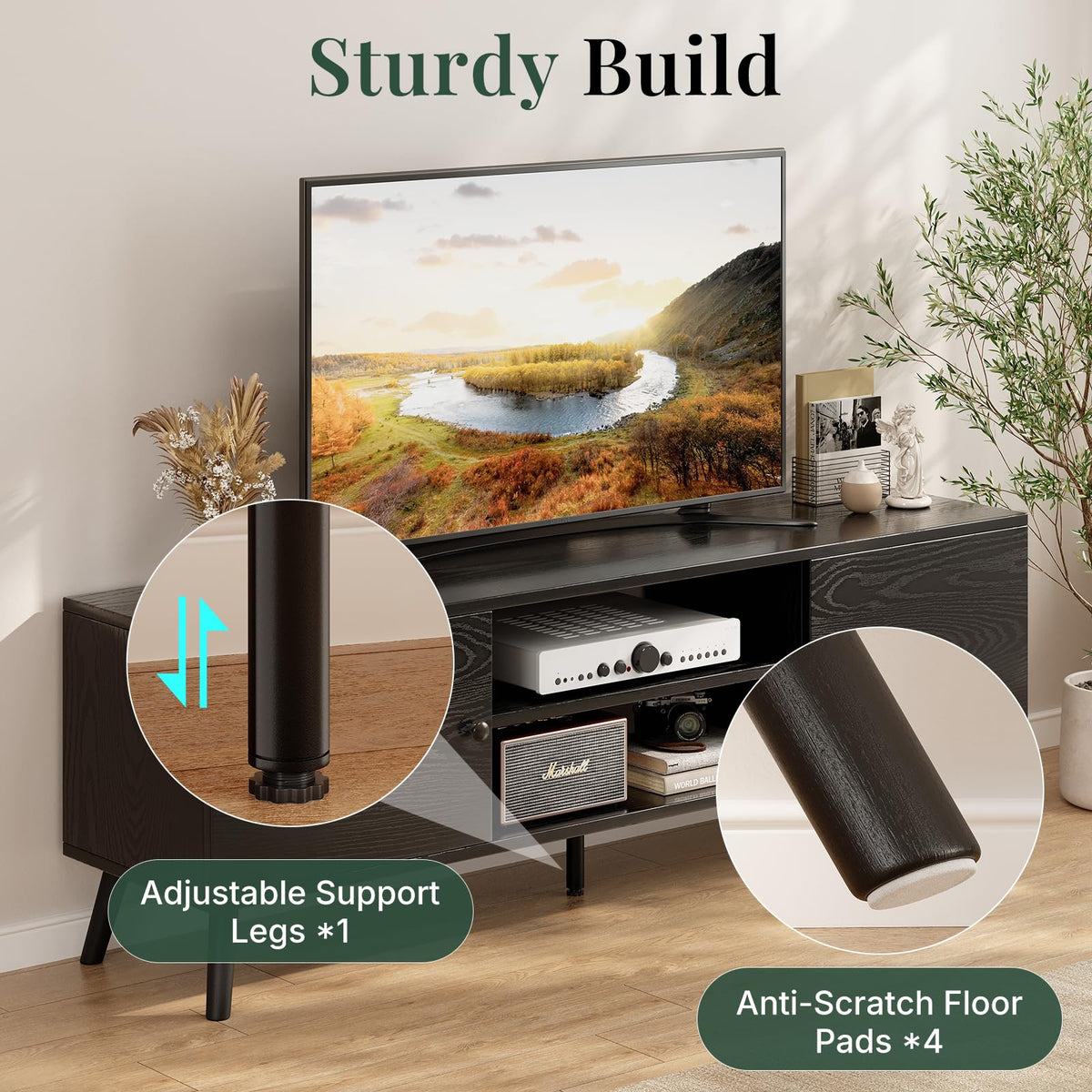 Mid-Century TV Stand with Storage