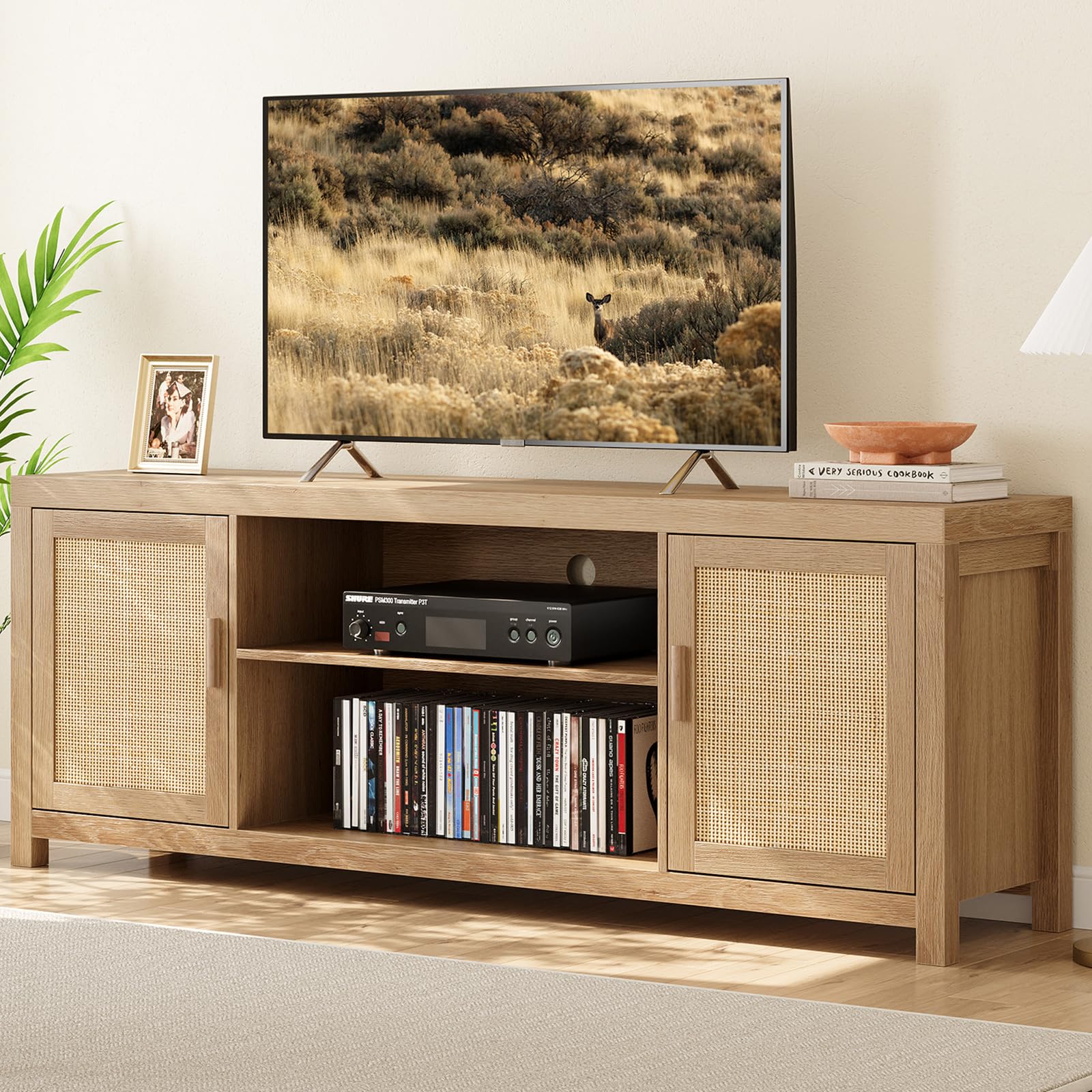 Rattan Boho TV Stand with Storage