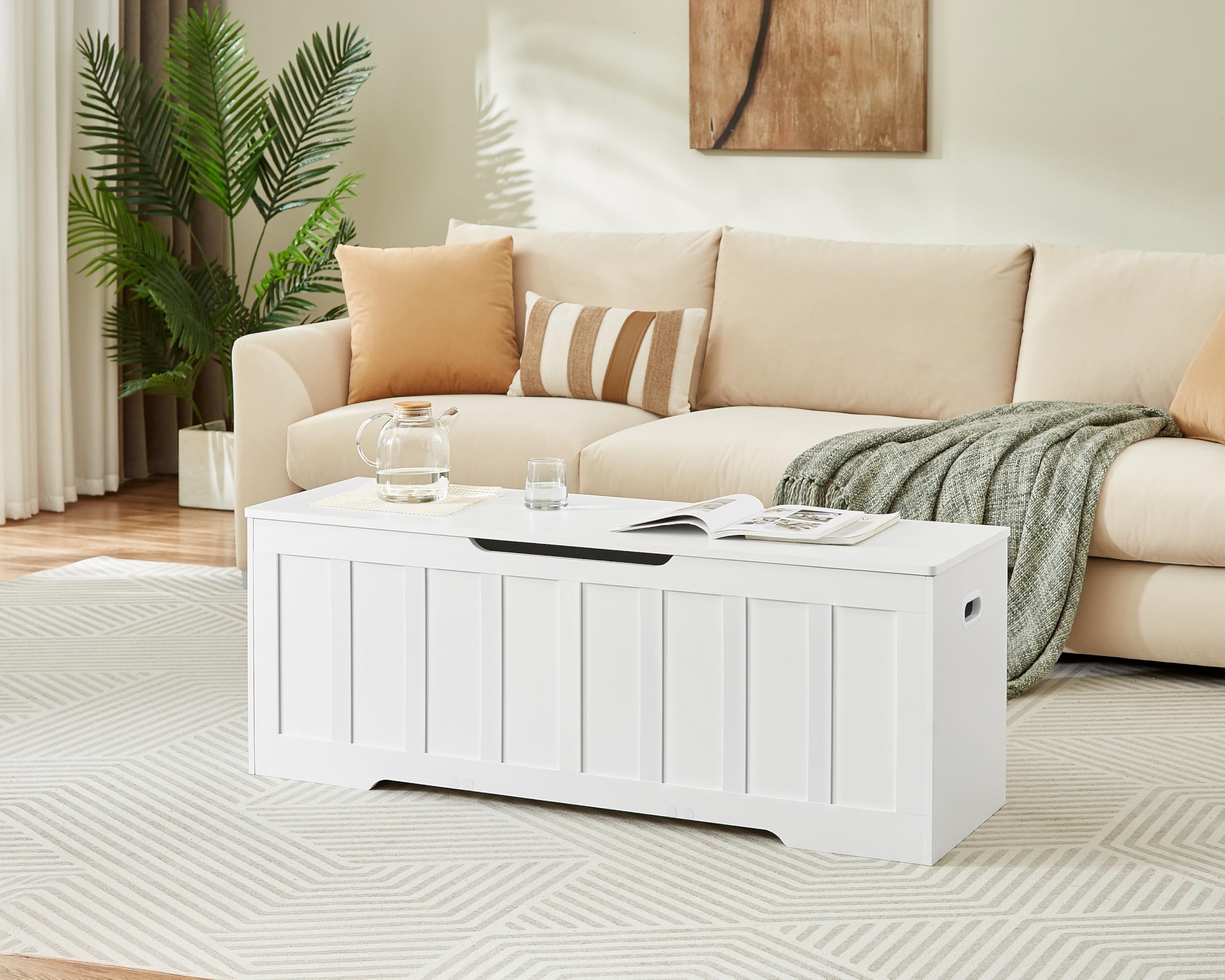 Large Storage Bench with Safety Hinges