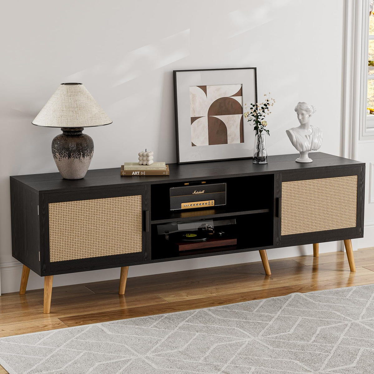Rattan Door TV Stand