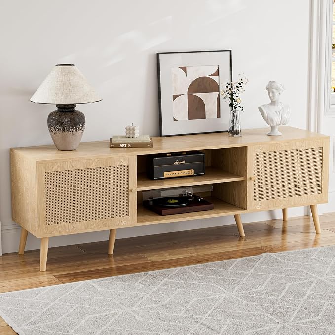 Rattan Door TV Stand