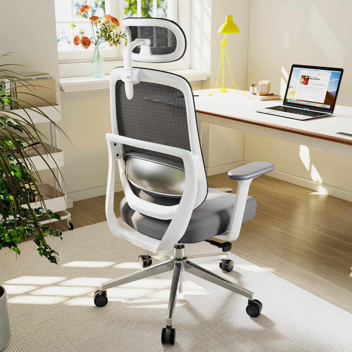 QuelSoft Ergonomic Office Chair Desk Chair with Lumbar Support, White
