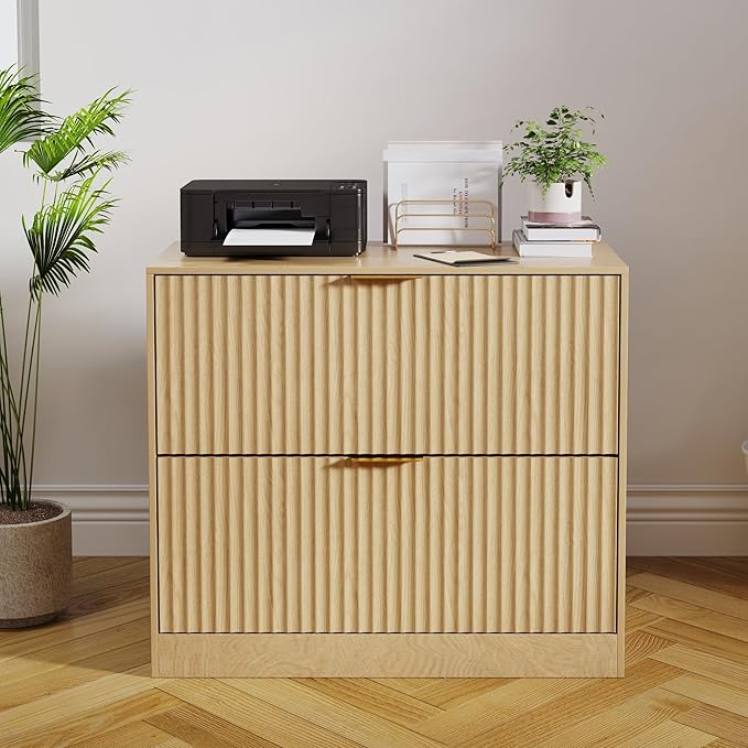 2-Drawer File Cabinet with Storage