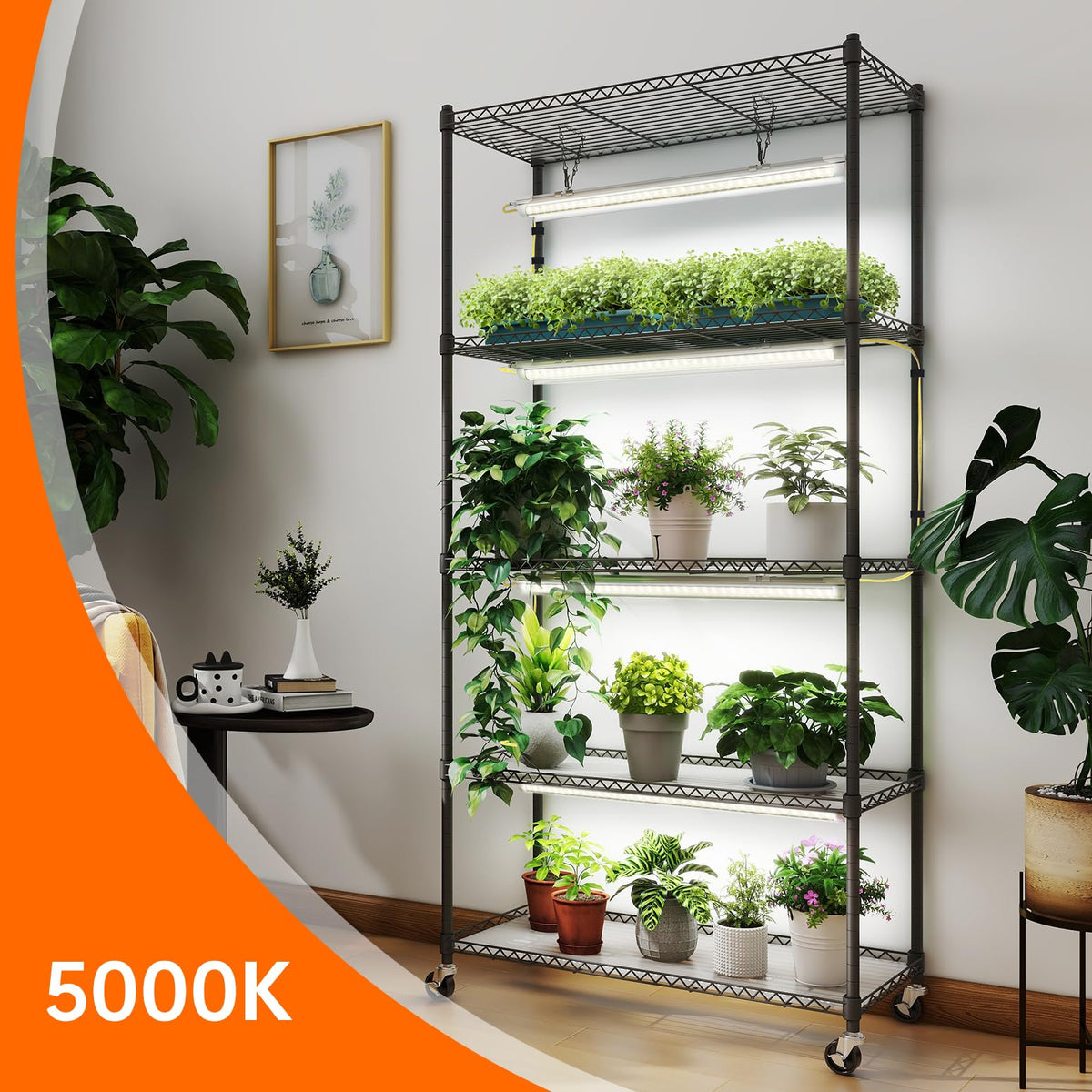 Bstrip 5-Tier Plant Shelf with Grow Light, 29.5x13.8x59in