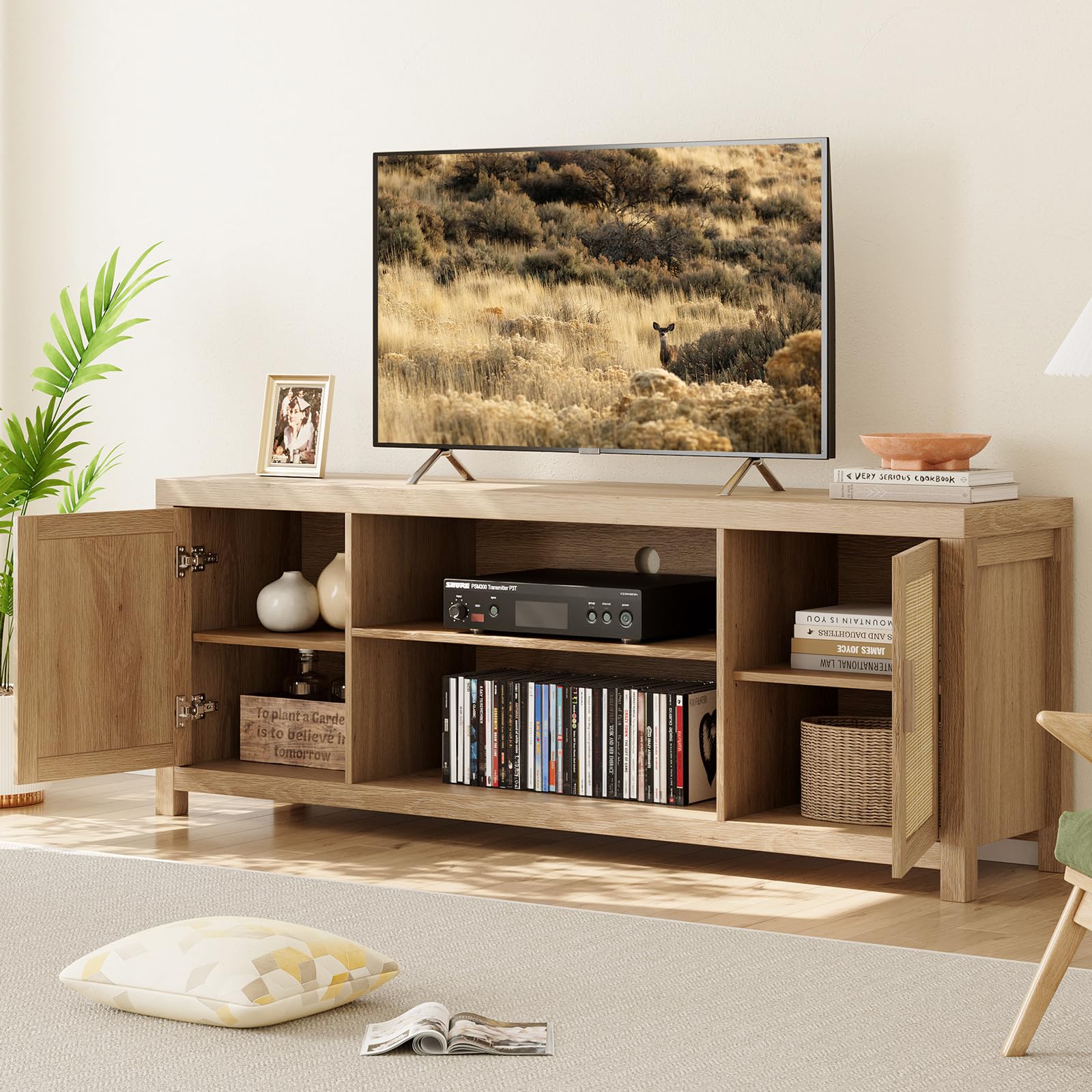Rattan Boho TV Stand with Storage