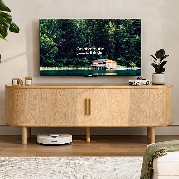Mid-Century TV Stand with Storage