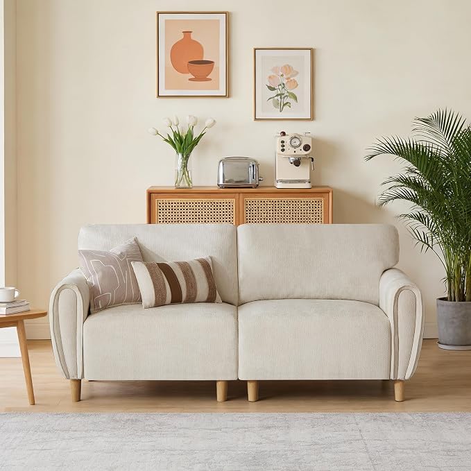 Chenille Loveseat Sofa