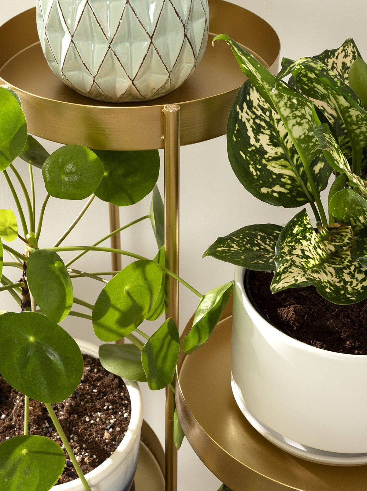 Kate and Laurel Finn Modern 4-Tier Plant Stand; 10 x 11 x 44; Gold; Folding Lightweight Plant Stand for Decorative Display and Storage