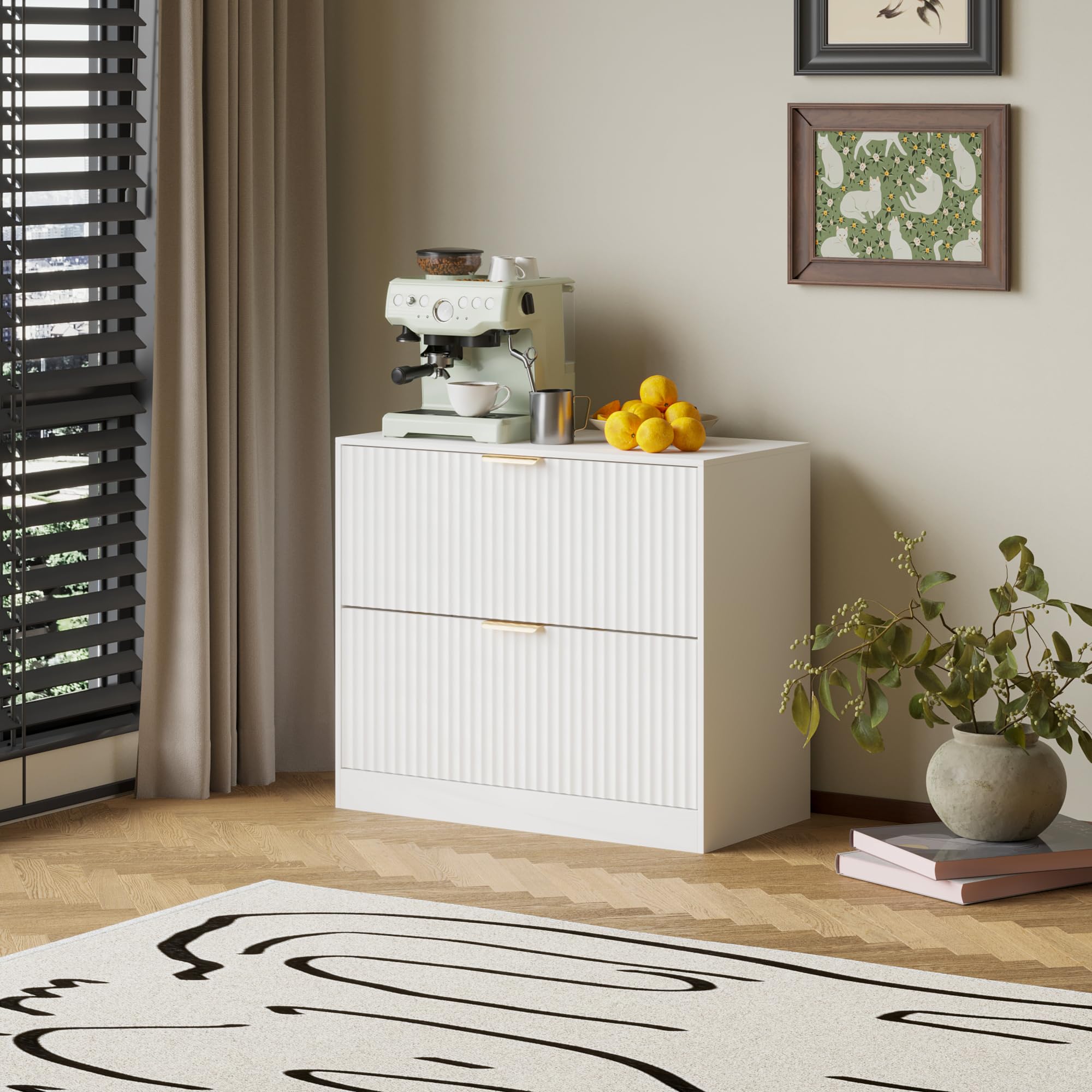 2-Drawer File Cabinet with Storage