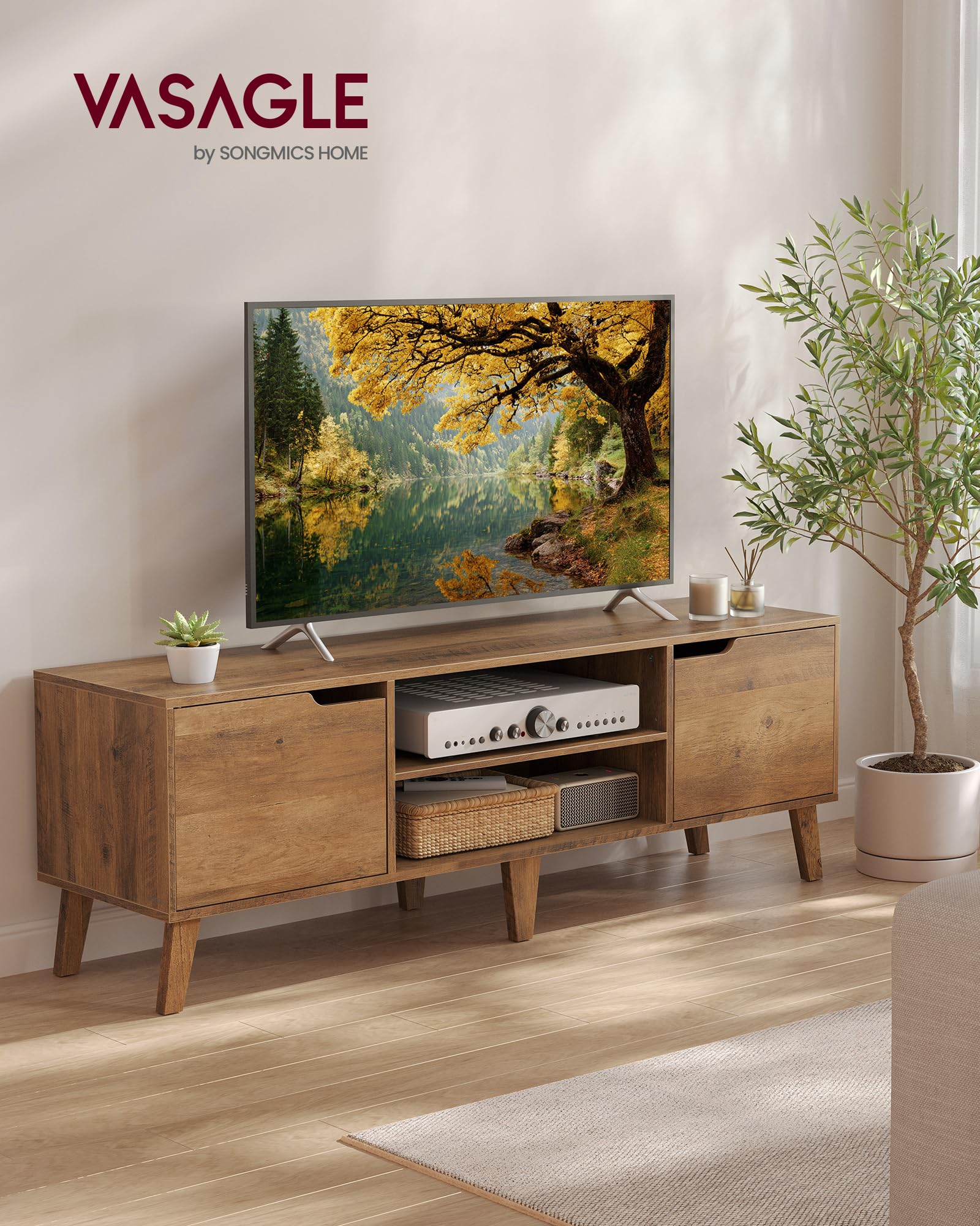 58" TV Stand with Adjustable Shelf & Storage Cabinets