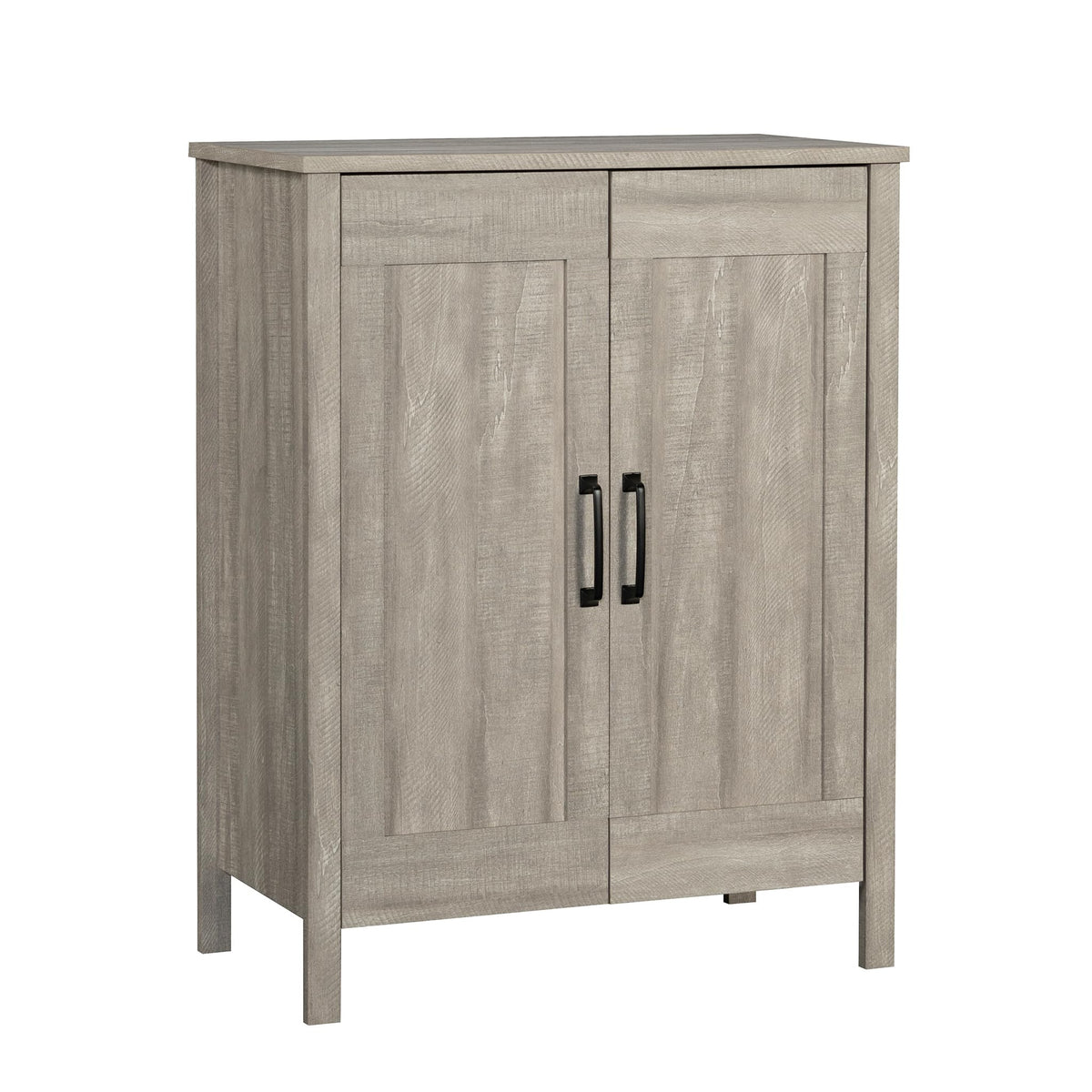 2-Door Storage Cabinet