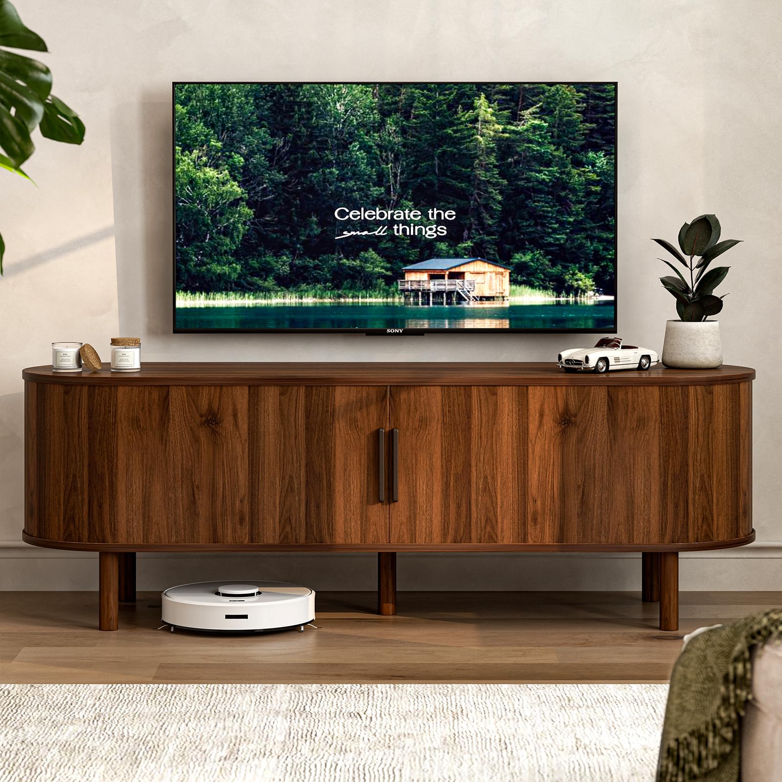 Mid-Century TV Stand with Storage