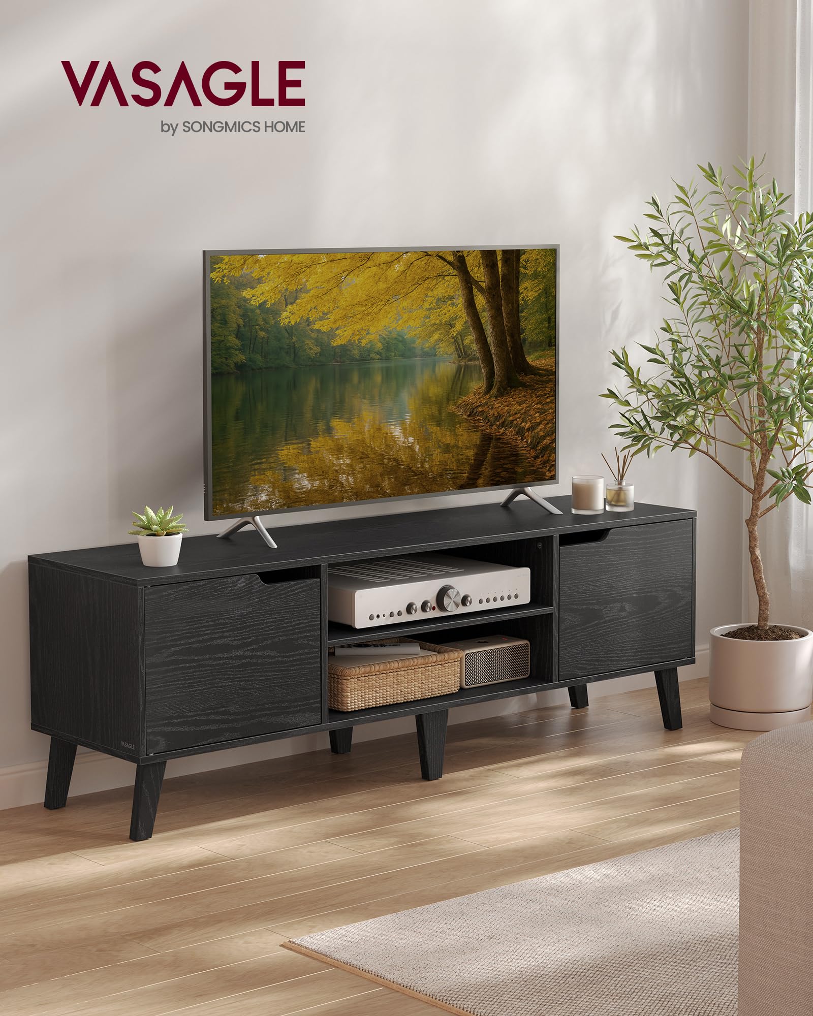 58" TV Stand with Adjustable Shelf & Storage Cabinets