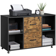 Lateral File Cabinet with 2 Drawers & 4 Open Compartments
