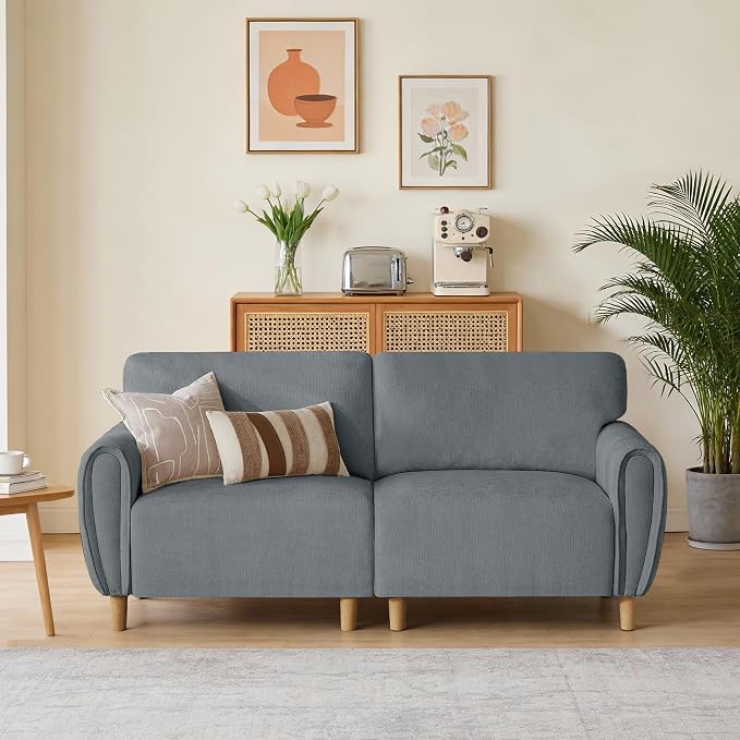 Chenille Loveseat Sofa