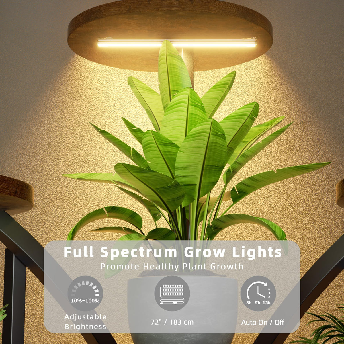 11-Tier Corner Plant Stand with Grow Lights