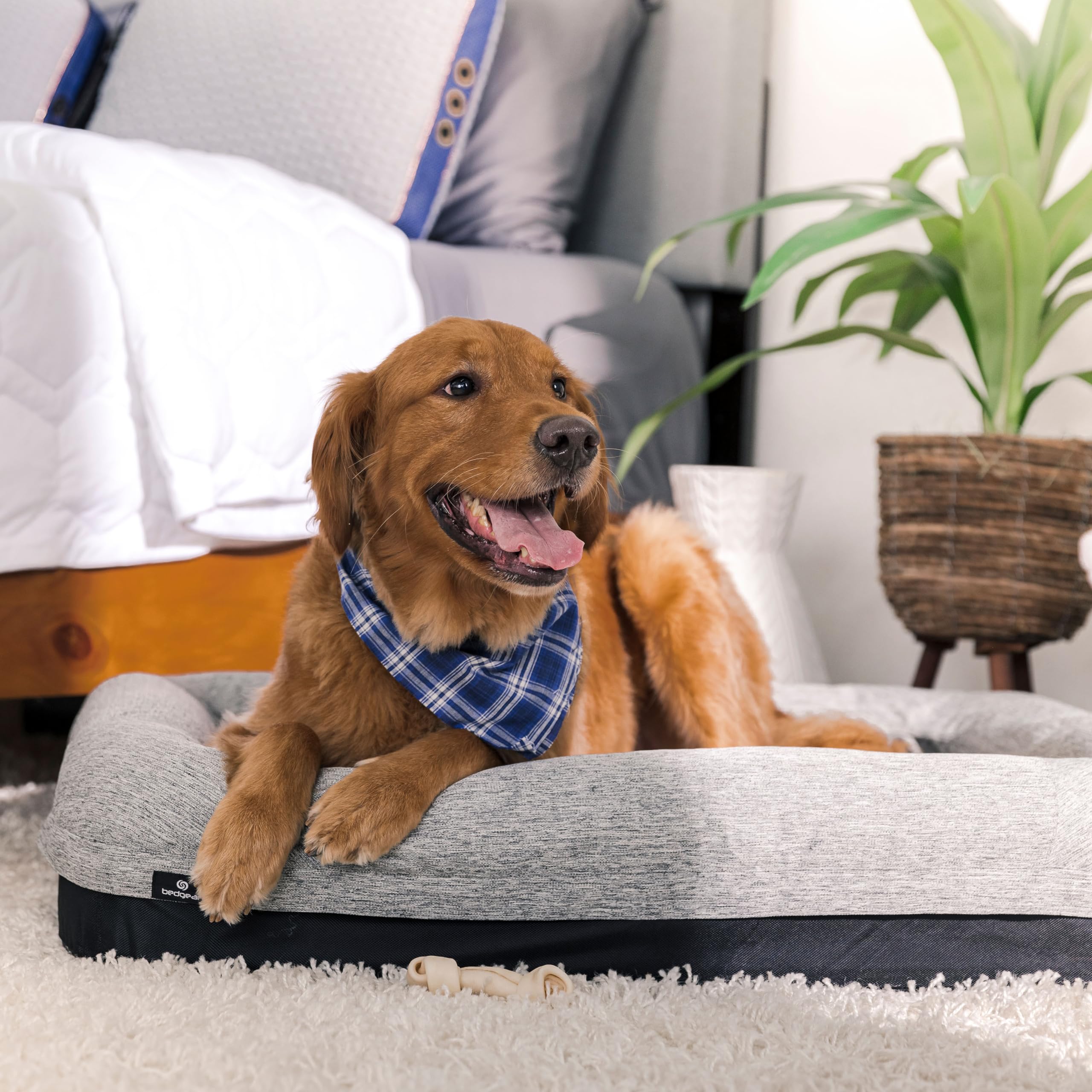 Performance Dog Bed – Ventilated Foam, Waterproof, Washable Cover
