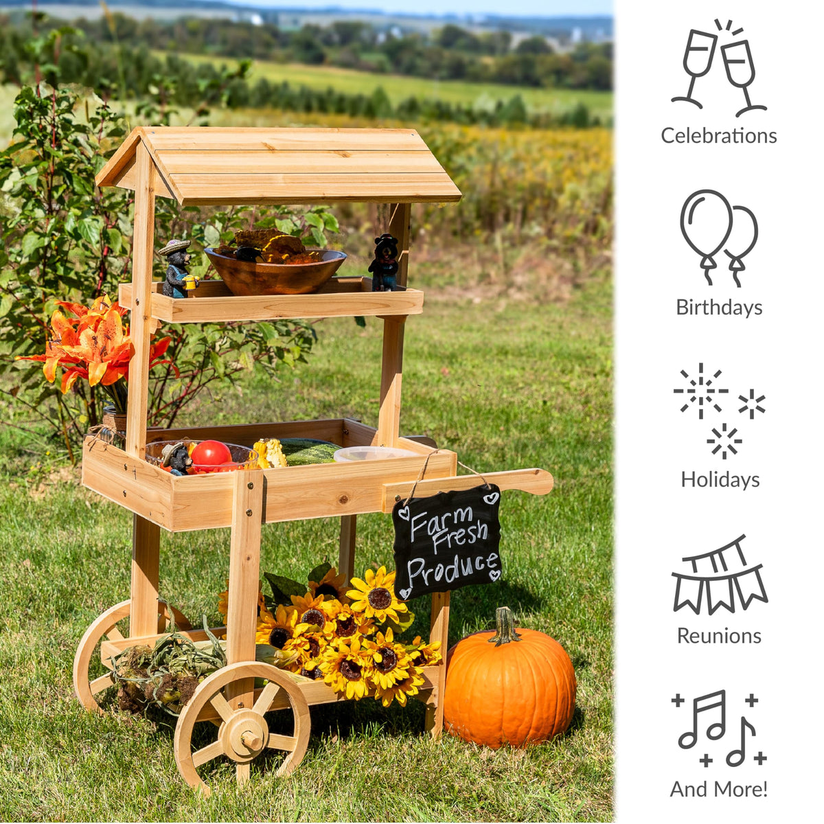 Sunnydaze Flower Cart Display Stand with Wheels, Fir Wood, 49” H, Natural