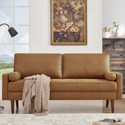 Mid-Century Modern Loveseat Sofa