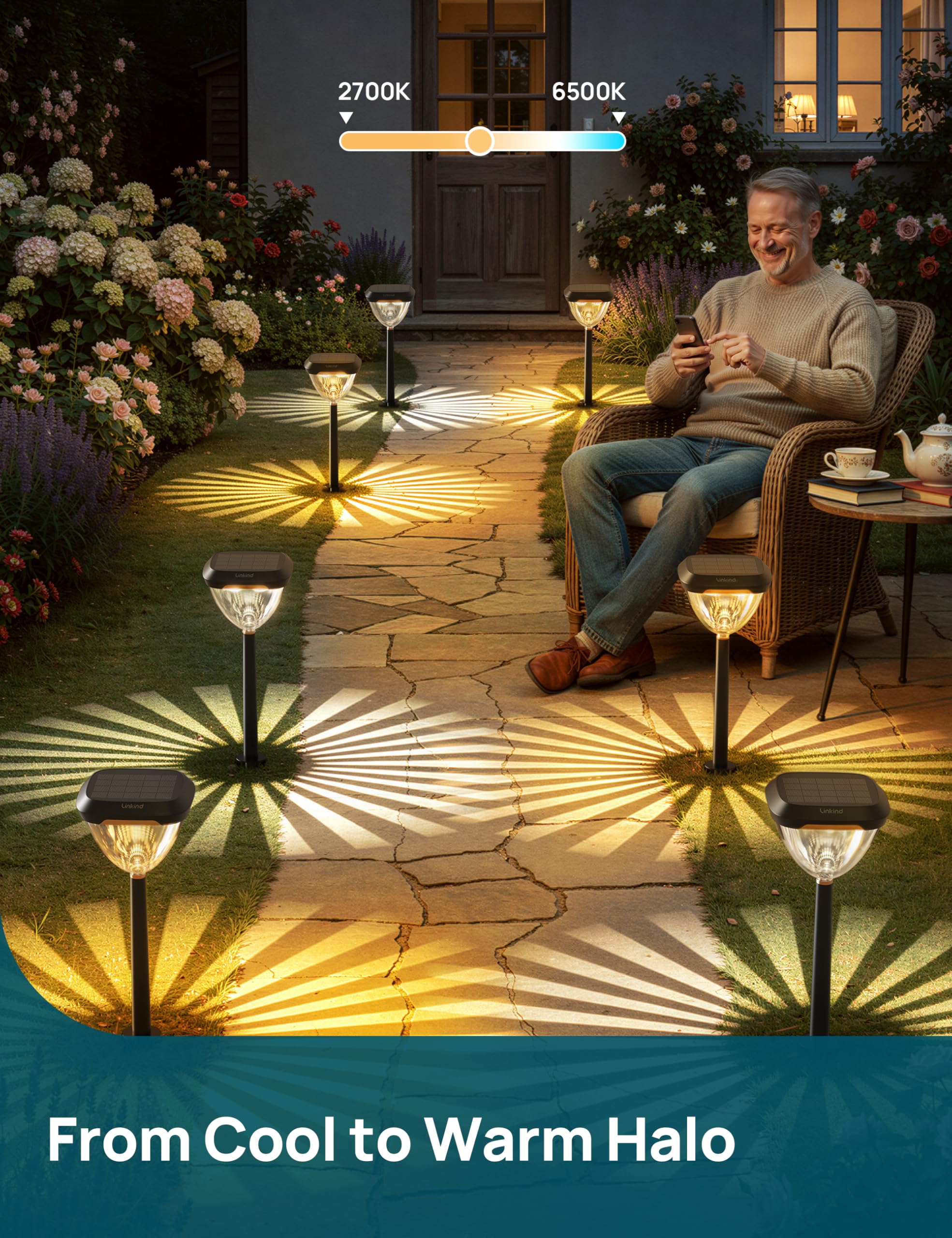 Smart Solar Pathway Lights with App Control